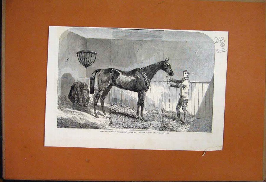 Print 1852 King Of Gold Nuggets Australia Indus Sh