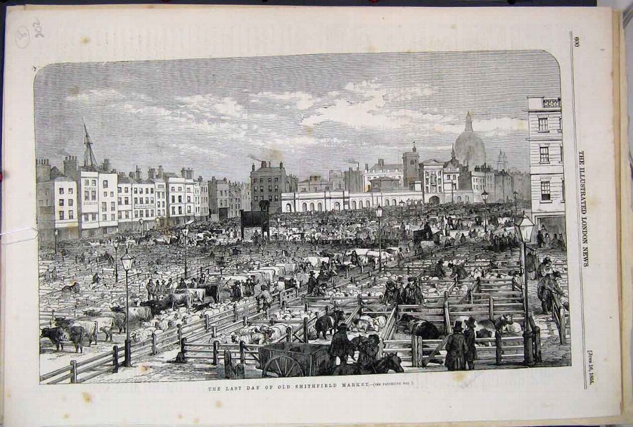 Print 1855 Smithfield Market Pigs Sheep Cattle Far