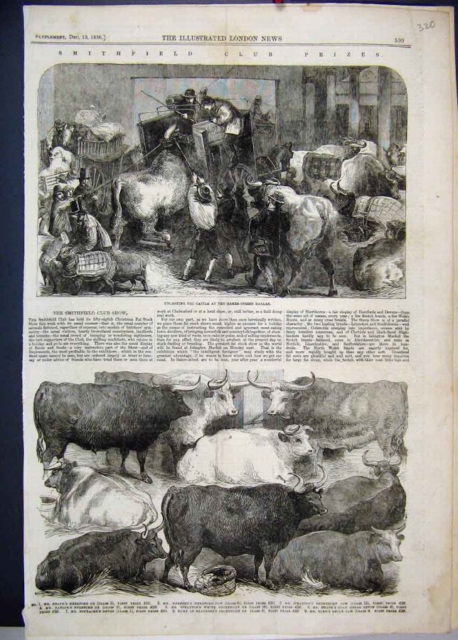 Print 1856 Smithfield Club Prizes Cattle Baker Str