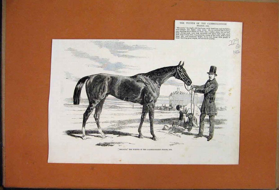 Print 1856 Stolen Painting Le Raboteur Caracci Ear