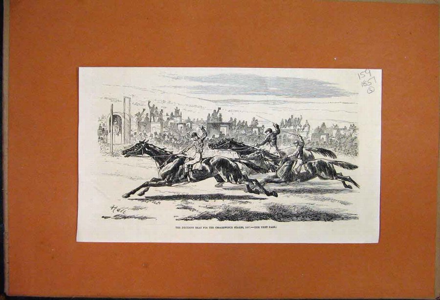 Print 1857 Cesarewitch Stakes Deciding Heat Horses