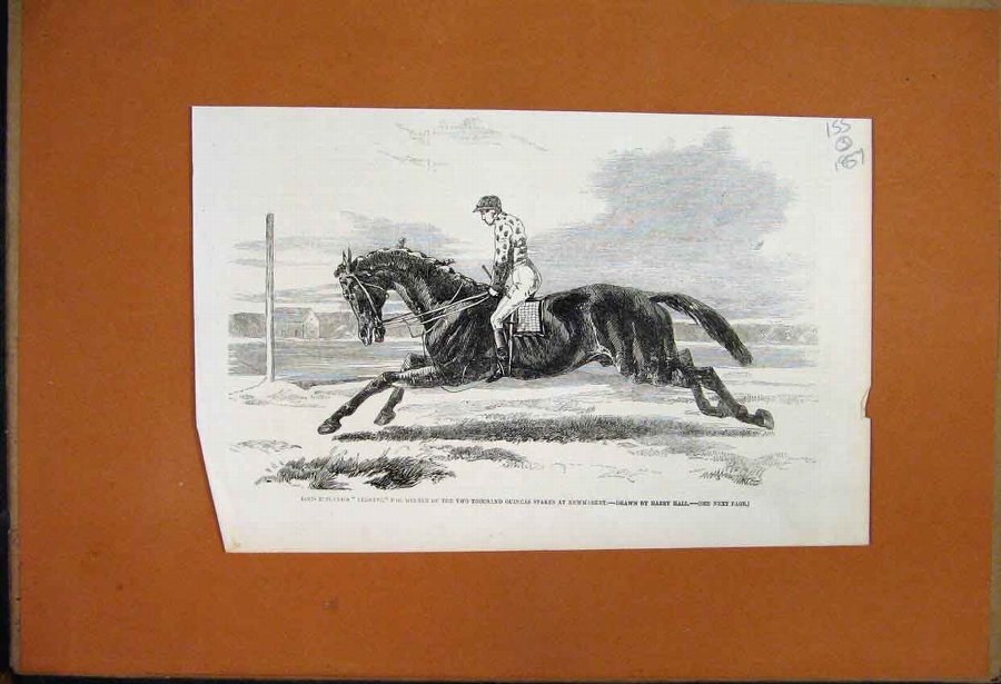 Print 1857 Lord Zetlands Vedette Racehorse Newmark