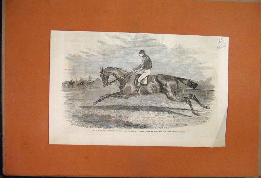 Print 1857 Nichols Newminster Horse Doncaster St L