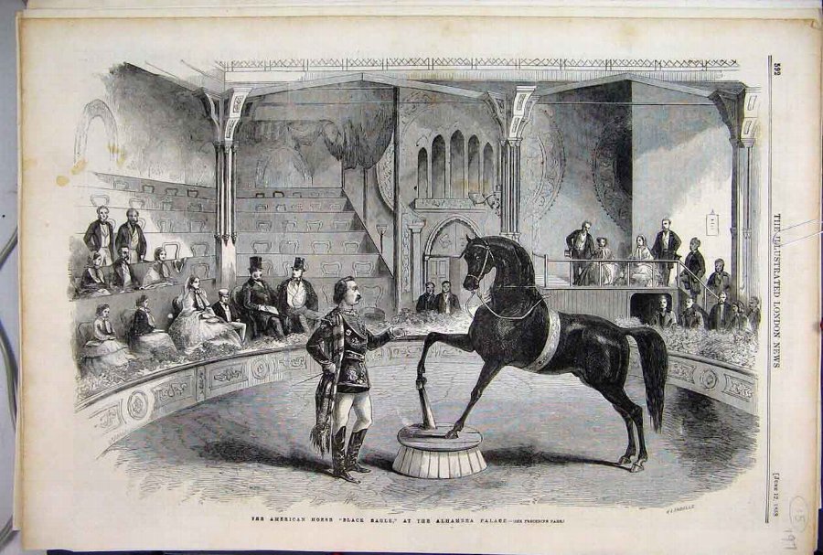 Print 1858 American Horse Black Eagle Alhambra Pal
