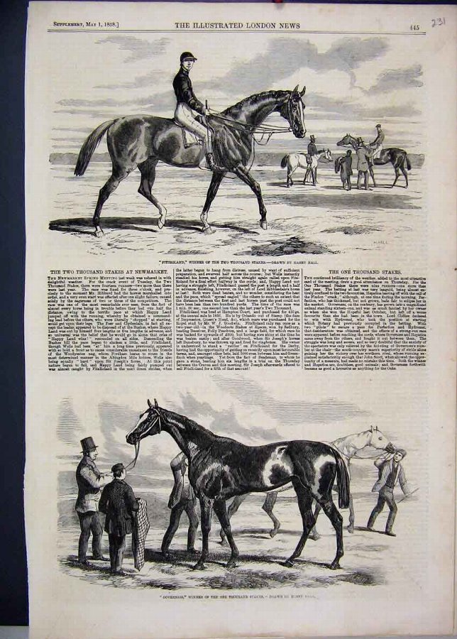 Print 1858 Horse Fitzroland Governess Thousand Sta
