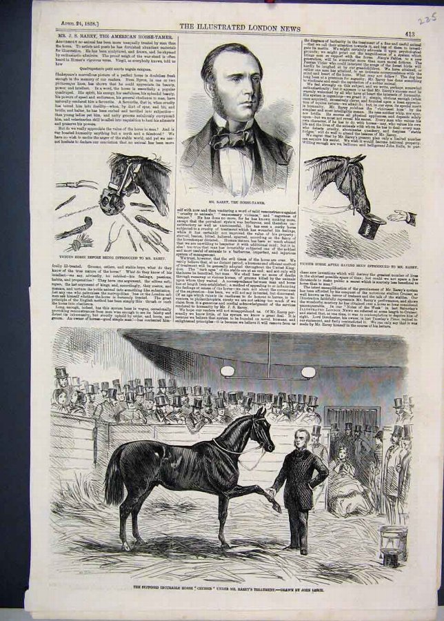 Print 1858 Mr Rarey Horse Tamer Cruiser Vicious 25
