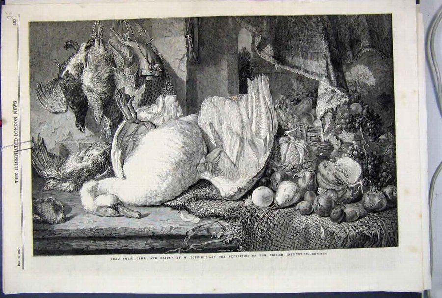 Print 1860 Dead Swan Game Fruit British Institute 