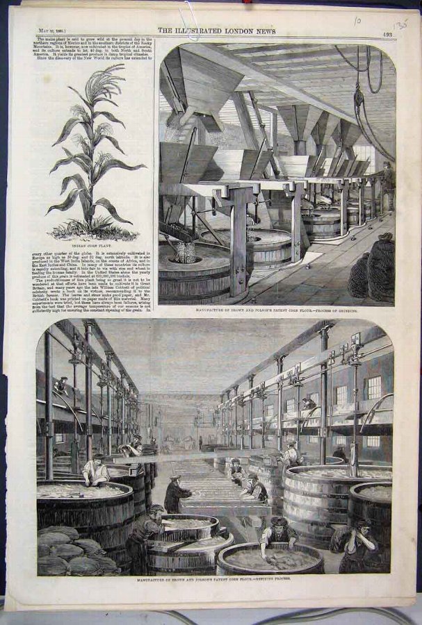 Print 1860 Manufacture Brown Polson Corn Flour Ref