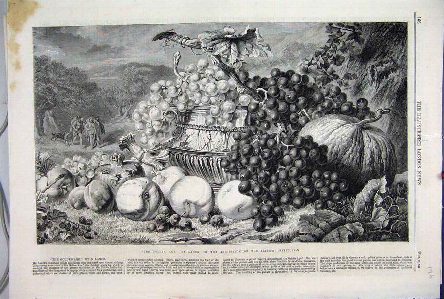 Print 1861 Golden Age Fruit Melon Grapes Beautiful