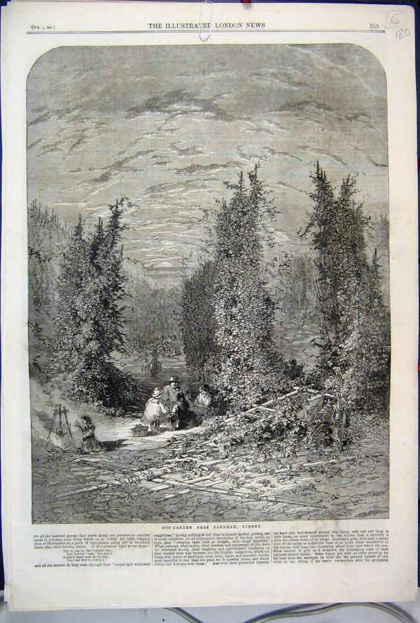 Print 1861 Hop Garden Farnham Surrey Family Picnic