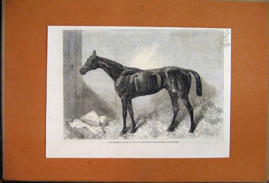 Print *3503 1862 Captain William Wilson Emily St P