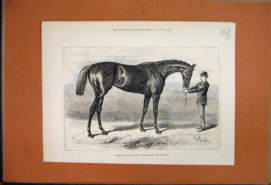 Print 1862 The Marquis Winner Guinea Stakes Newmar
