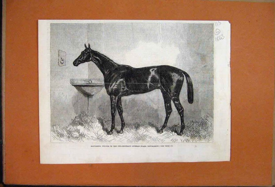 Print 1863 Maccaroni Racehorse Winner 2000 Guineas