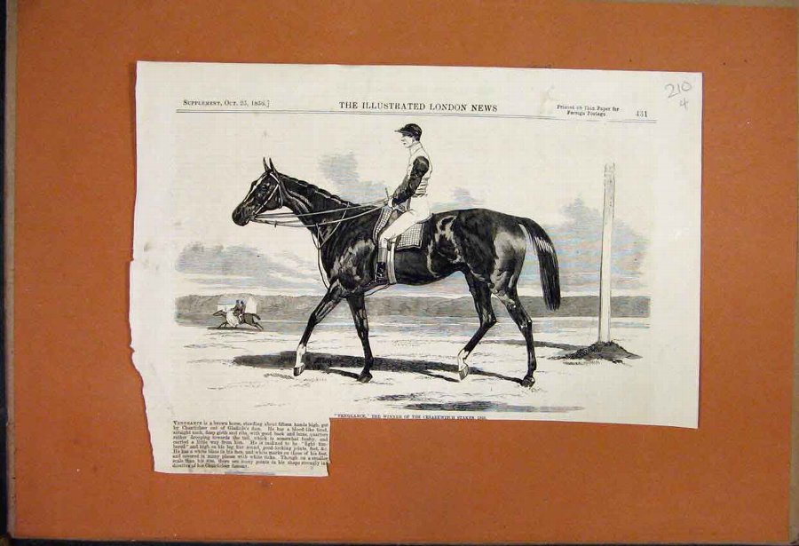 Print 1865 Ruins Of Gasworks Explosions At Nine El