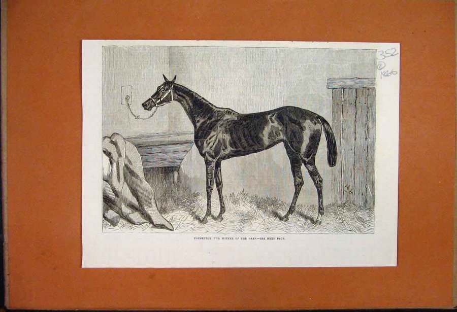 Print 1866 Horse Tormentor Winner Oaks 52MAR1
