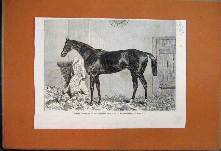 Print 1867 Vauban Winner 2000 Guineas Stakes Newma