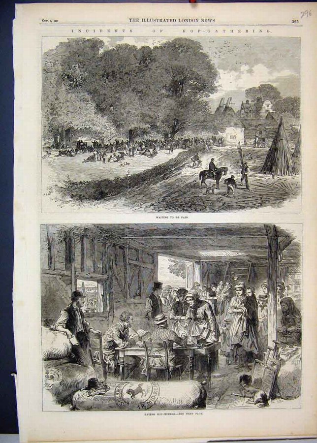Print 1867 Hop Gathering Paying Pickers Dog Horse 