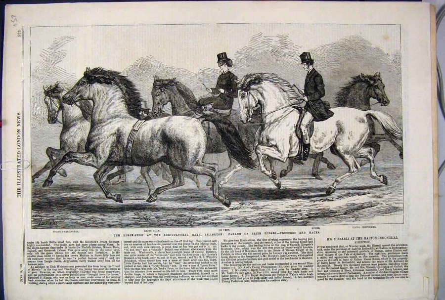 Print 1868 Horse Show Agricultural Hall Islington 