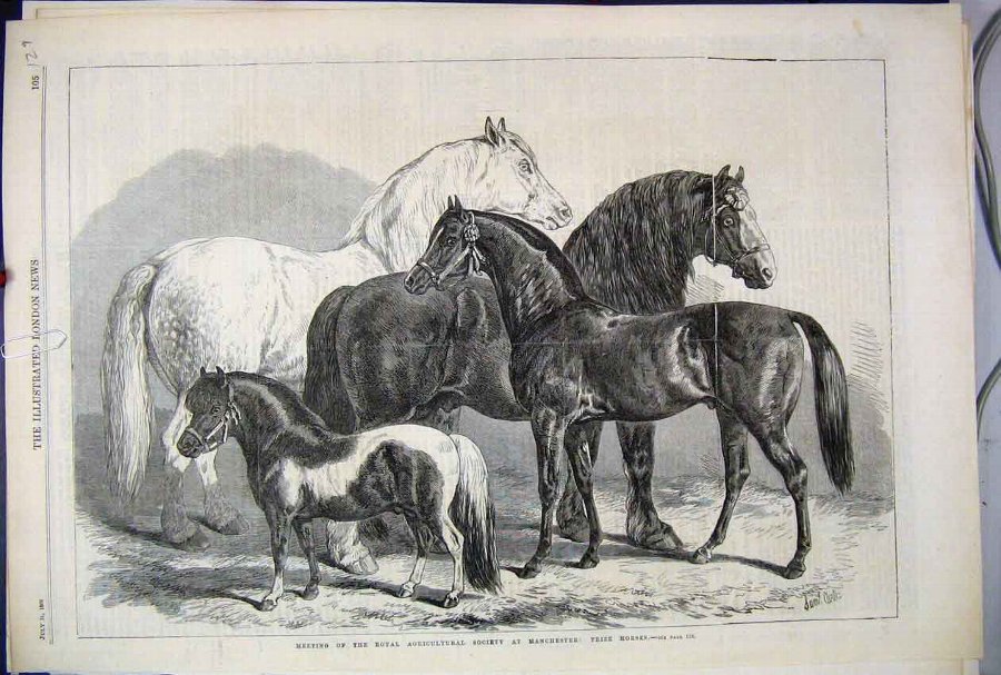 Print 1869 Royal Agricultural Society Manchester P