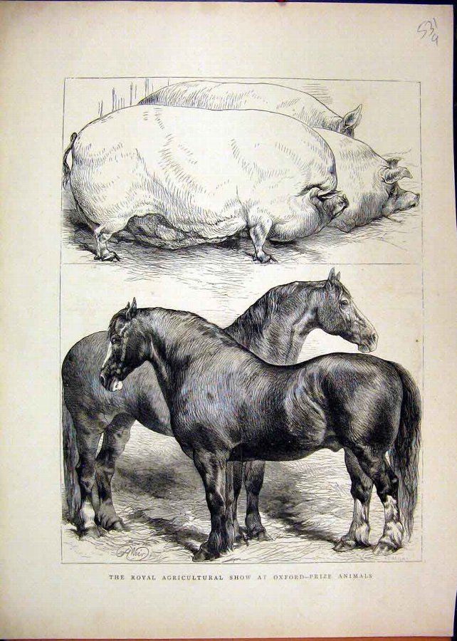 Print 1870 Royal Agricultural Show Oxford Prize Ho