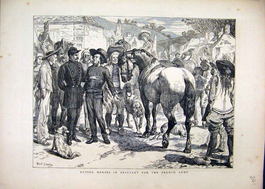 Print 1871 Buying Horses Brittany French Army Stre