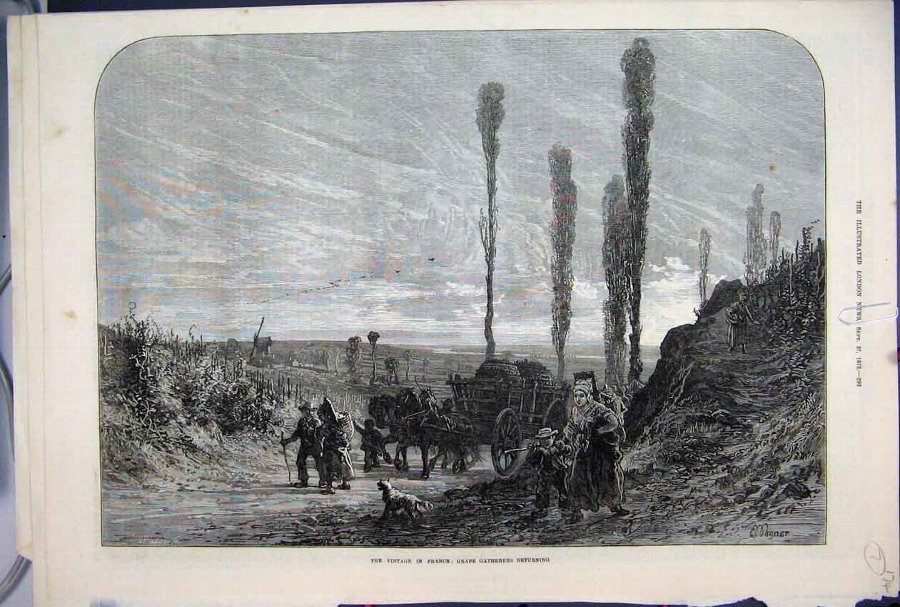 Print 1873 France Grape Gathering Horse Art 74MAR1