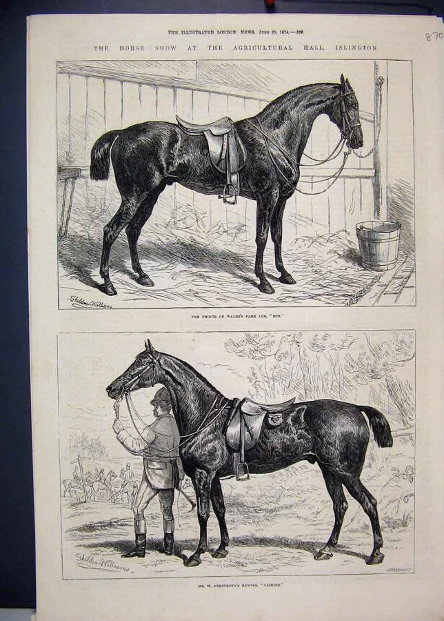 Print 1874 Horse Islington Prince Wales Bob Cashie