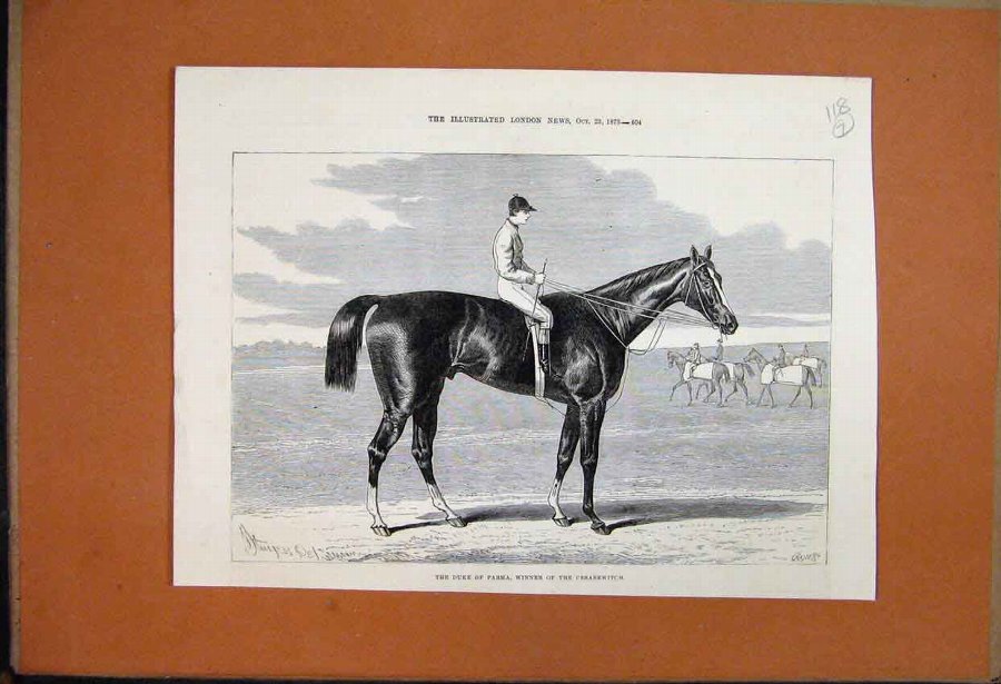 Print 1875 The Duke Parma Winner Cesarewitch Raceh