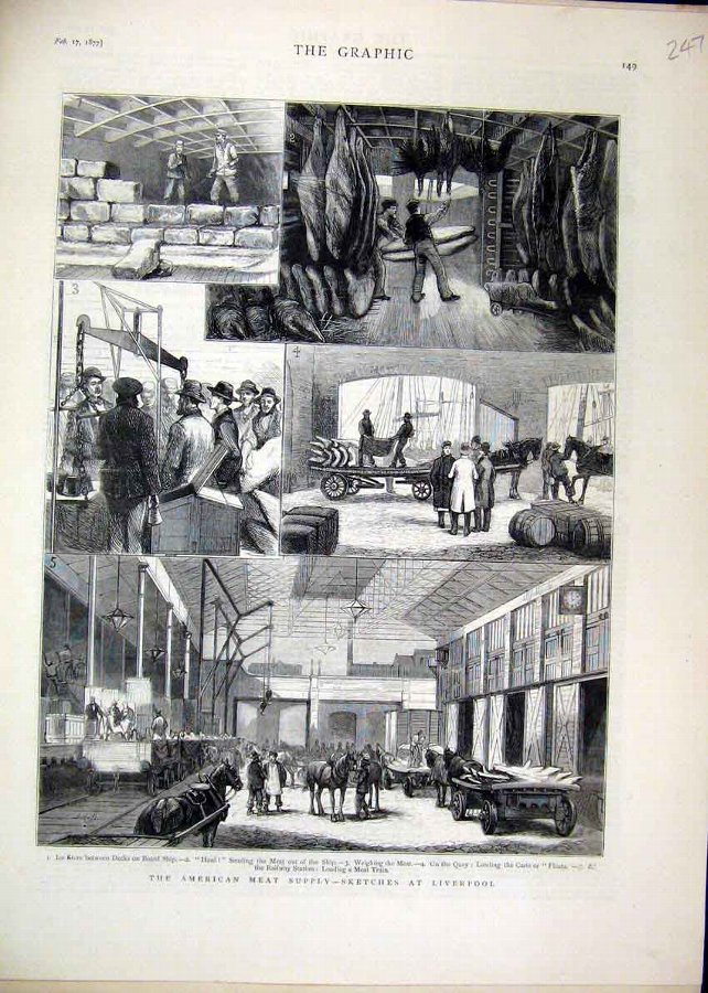 Print 1877 American Meat Supply Liverpool Railway 