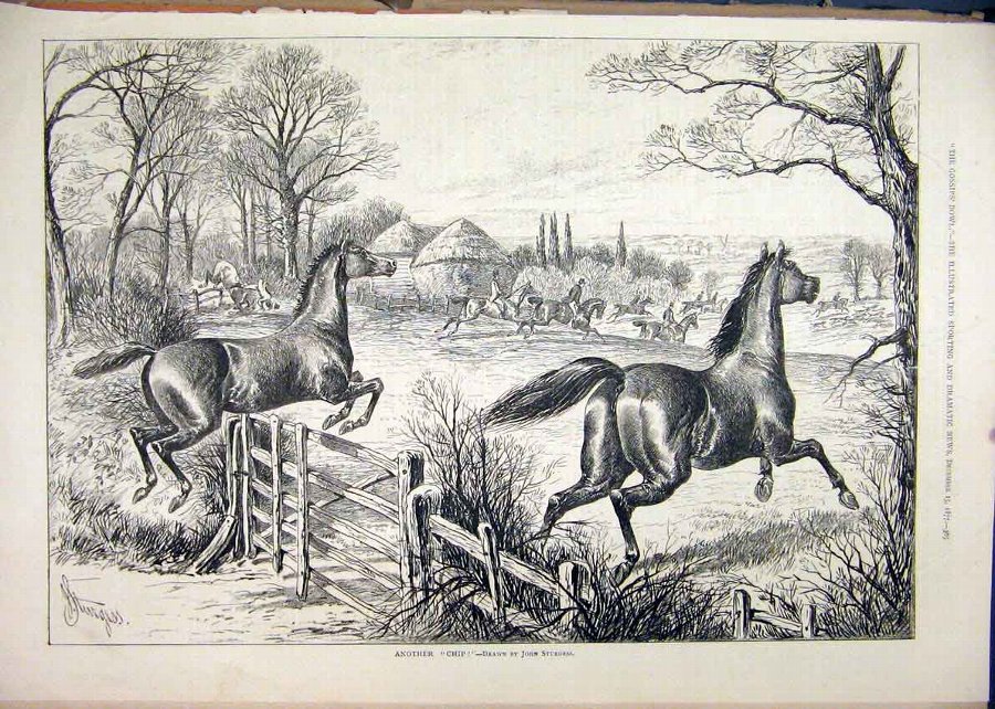 Print 1877 Loose Horses Jumping Fence Field Countr