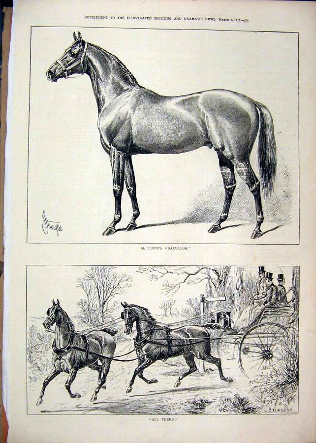 Print 1878 Horse Coach Mr Lupin Salvator Country S