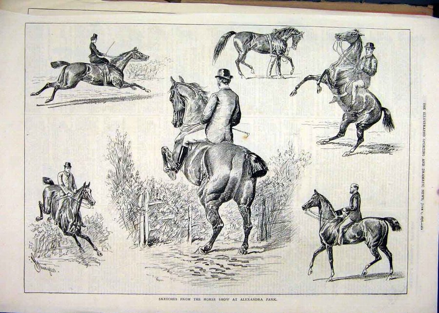 Print 1878 Sketches Horse Show Alexandra Palace Ju