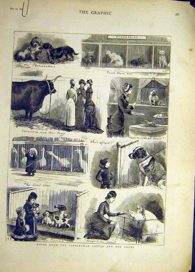 Print 1881 Birmingham Cattle Dog Show Sketches Ani