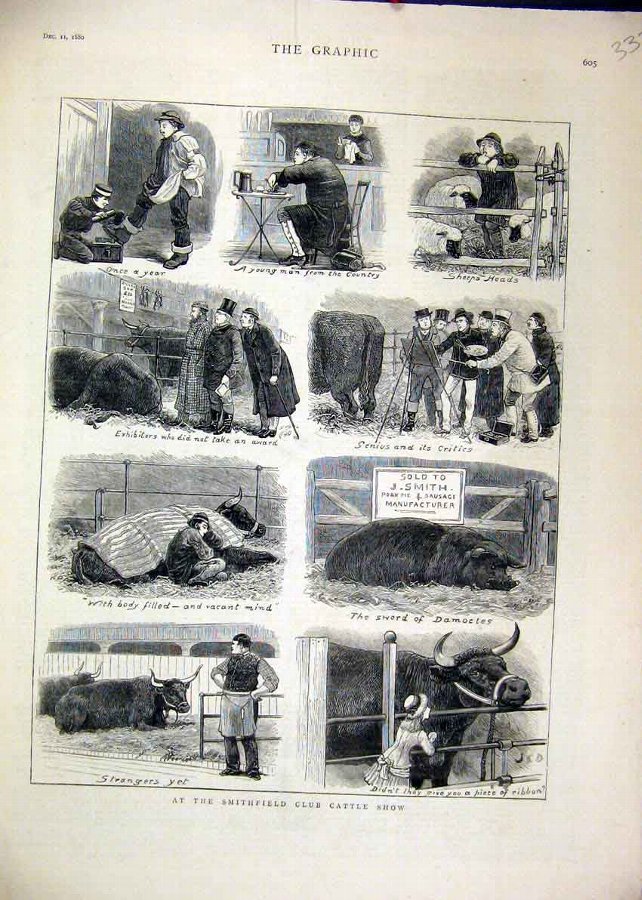 Print 1880 Smithfield Club Cattle Show Pig Sheep A