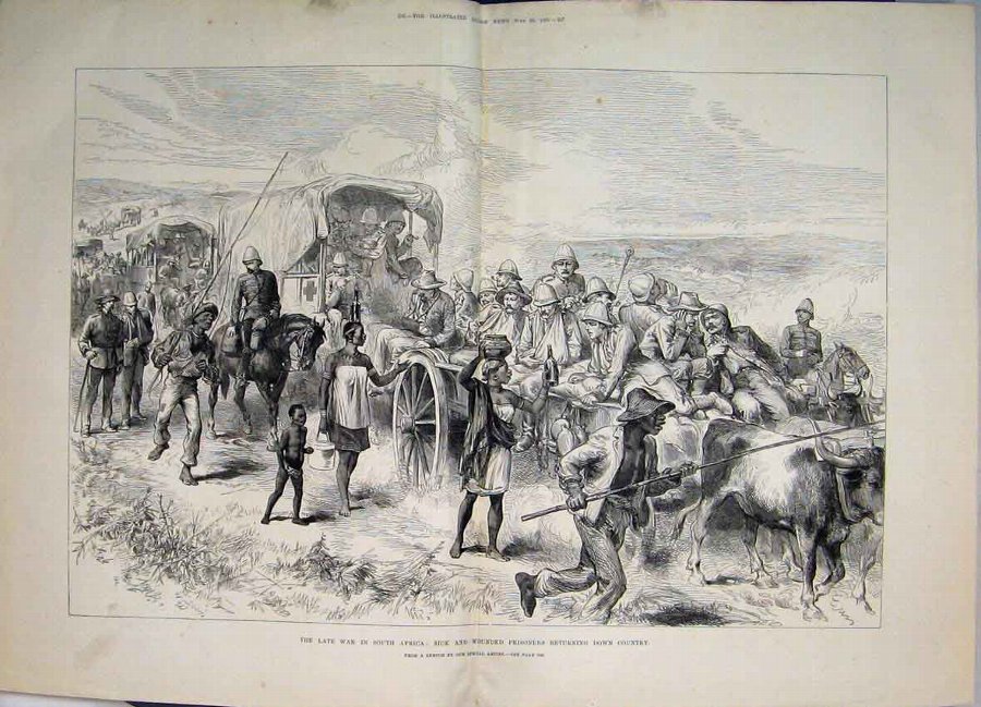Print 1881 Late War South Africa Sick Wounded Pris