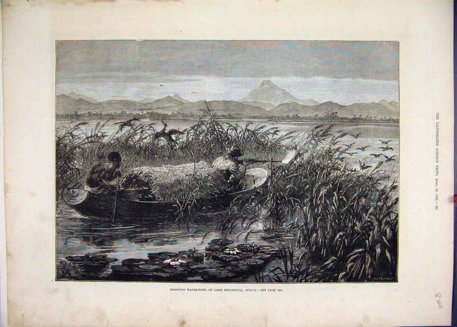 Print 1881 Shooting Water Fowl Lake Mirambala Afri