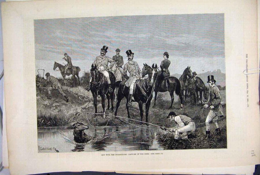 Print 1881 Staghounds Capture Deer Horses Lake Cou