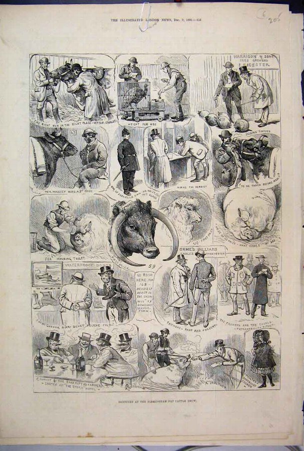 Print 1882 Birmingham Fat Cattle Show Farmer Pig S