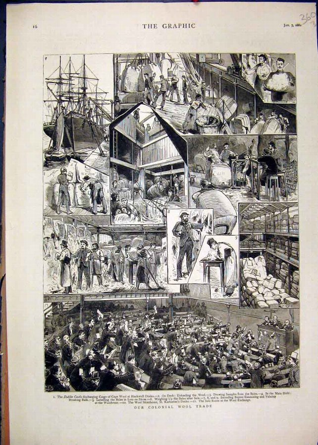 Print 1882 Colonial Wool Trade Sale Room Dublin Ca