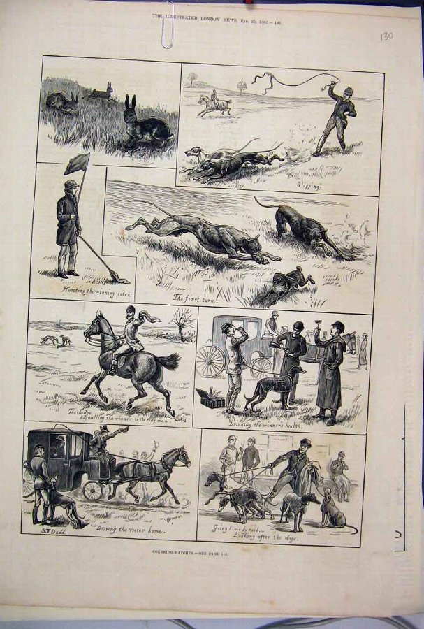 Print 1882 Coursing Matches Dogs Horse Carriage Ha