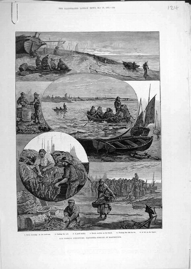 Print 1883 Fishing Industry Mackerel Eastbourne Fi