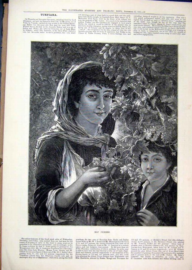 Print 1883 Hop Pickers Woman Young Boy Plant Fine 