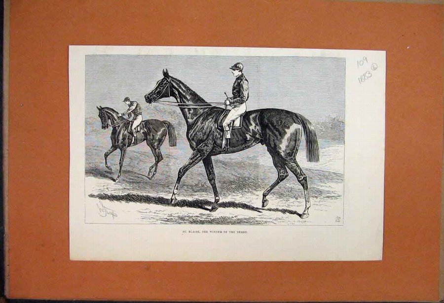 Print 1883 St Blaise Derby Winner Racehorse Jockey