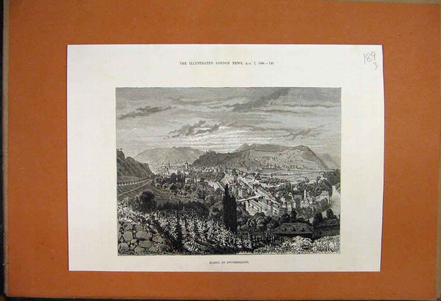 Print 1887 Prescription Winner Thoroughbred Show B