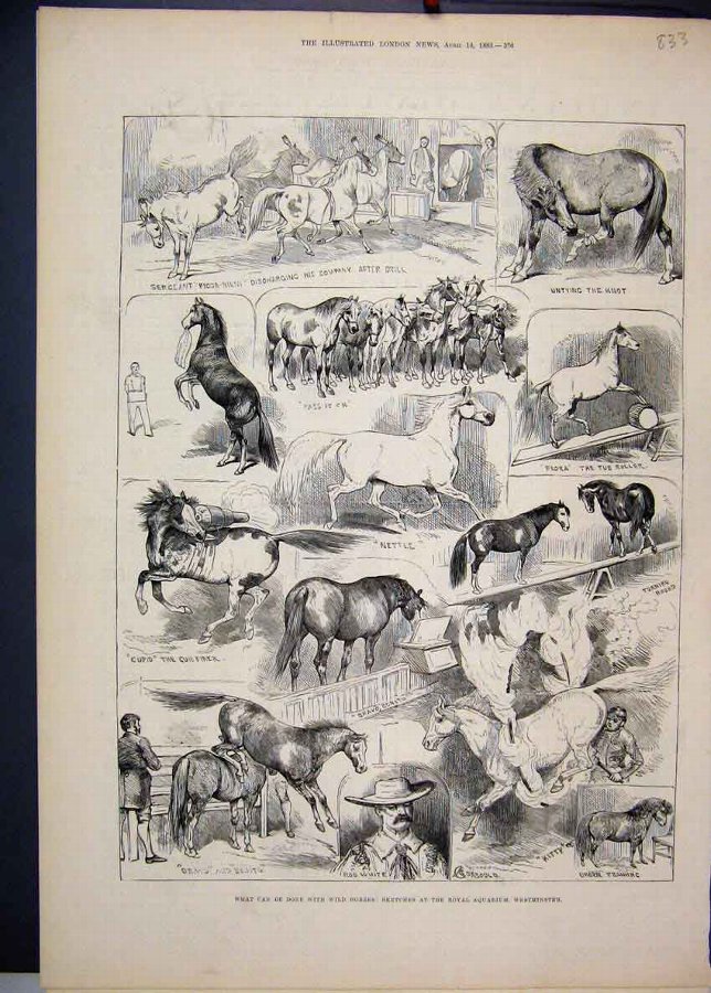 Print 1883 Wild Horses Royal Aquarium Westminster 