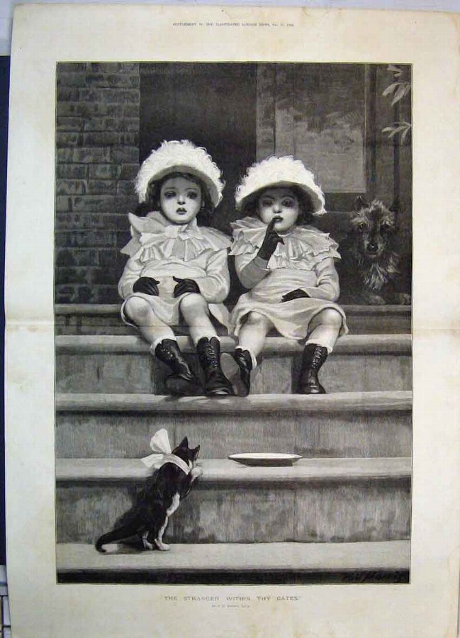 Print 1884 Dog Cat Two Little Girls Sitting Outdoo