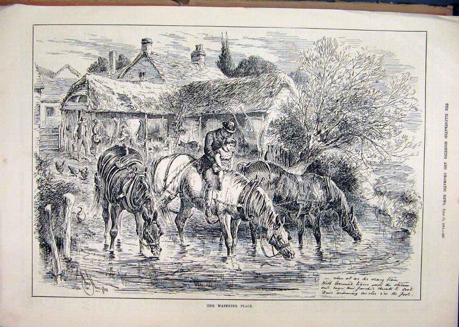 Print 1884 Horses Watering Place Drinking Chicken 