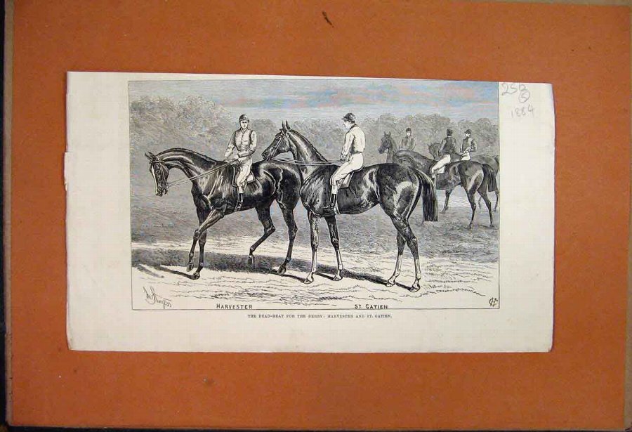 Print 1884 Ruins Archbishops Palace Southwell Bart