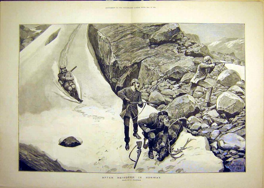 Print 1885 Norway Reindeer Hunt Woodville Mountain