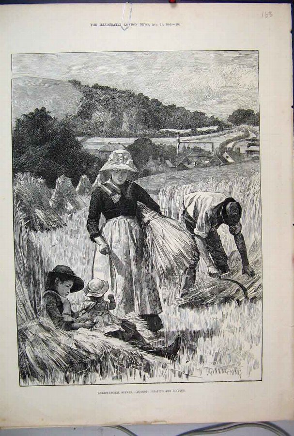 Print 1886 Agricultural Scene August Reaping Bindi